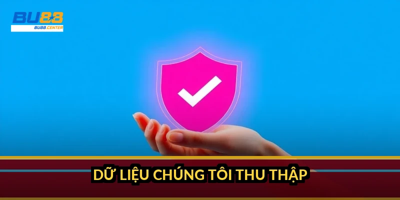 Dữ liệu chúng tôi thu thập